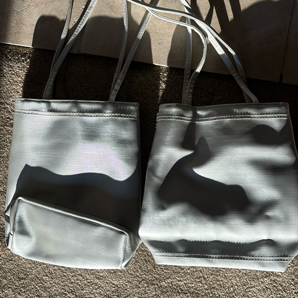 Silver-ish grey handbag/purse/bag.
